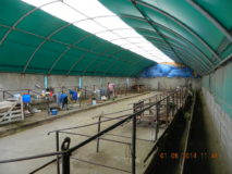 6f. AGROTUNEL DELTACOVER 10x30m